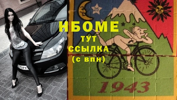 прущие грибы Михайловка