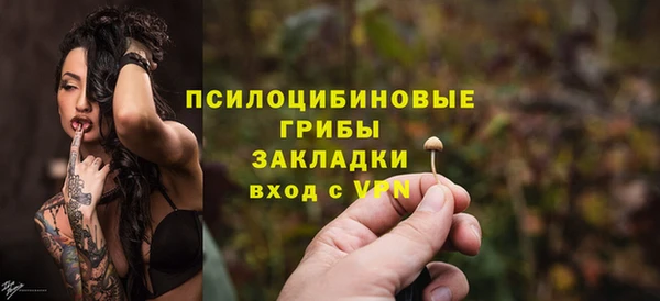 прущие грибы Михайловка