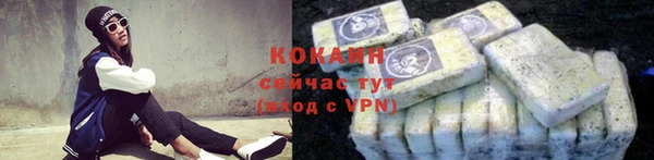 прущие грибы Михайловка