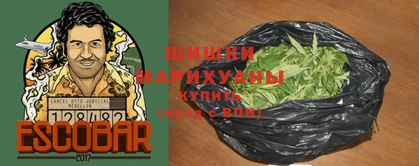 прущие грибы Михайловка