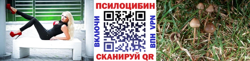 Галлюциногенные грибы прущие грибы  Сысерть 